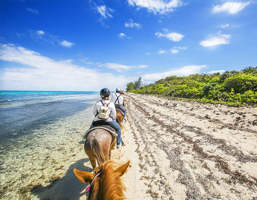 Horseback riding in the Grand Cayman Islands
